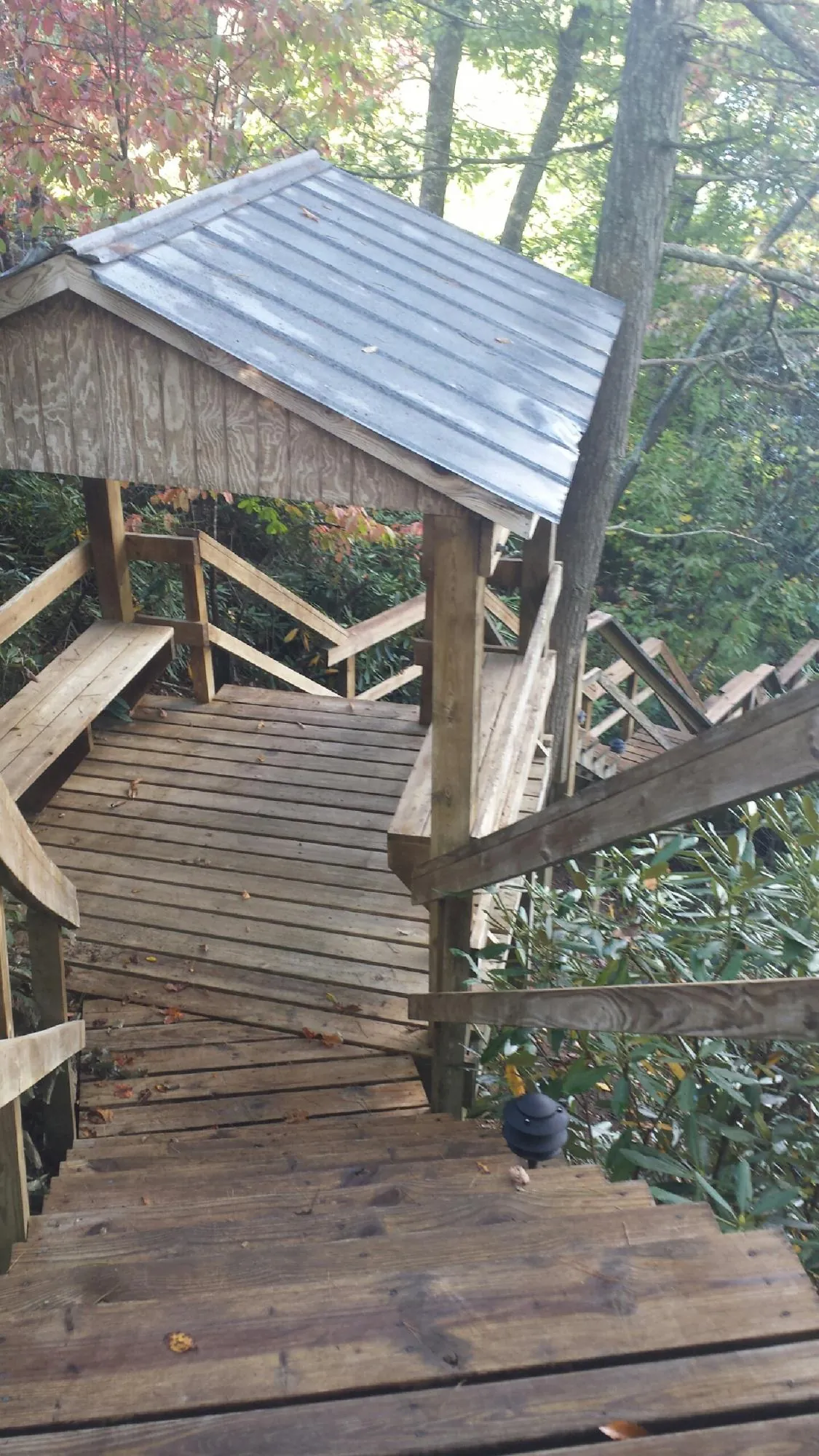 Metal roofed shelter over wooden steps on a wooded walkway — Skylight Repair & Installation work by our crew in Silver Gate